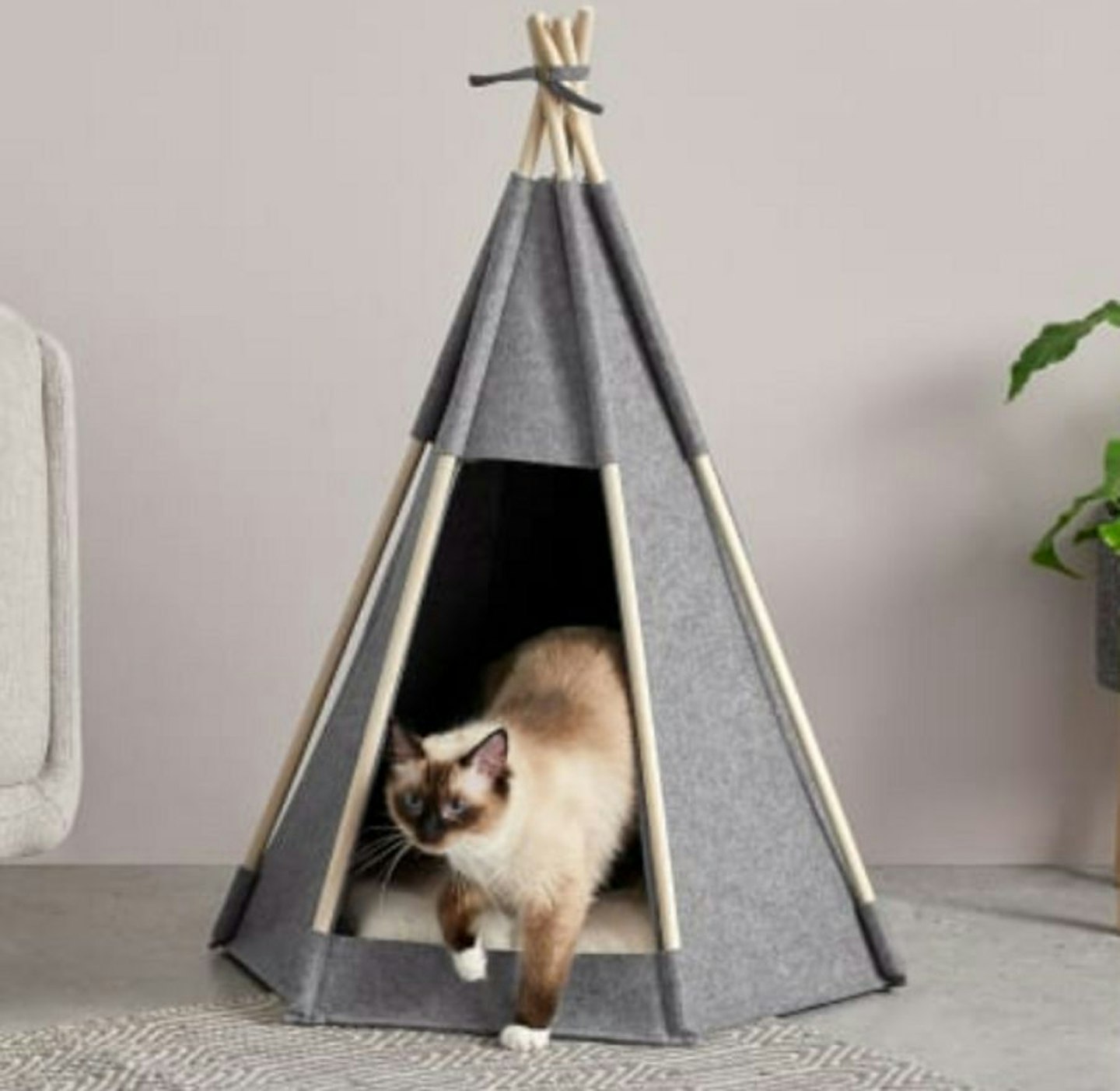 The Best Cat Beds For Your Furry Friend